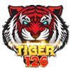 Tiger126 แหล่งรวมความบันเทิงเดิมพันออนไลน์ระดับพรีเมียม